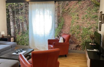 appartement Vintage a l ancienne forge - Foto 5