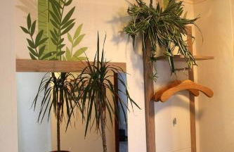 Haus Panoramaweg - Foto 12