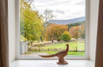 The Kennels - Foto 24