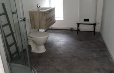 Pounette, appartement T2, centre thermes Luxeuil - Foto 14