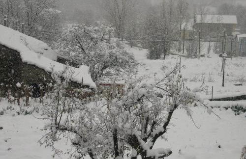 Apartamentos Estop - Foto 43