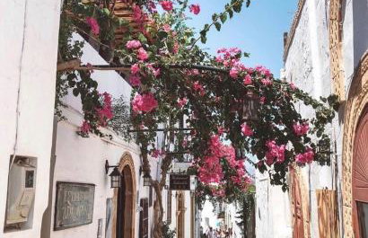 Villa Smaragdi-Despoina - Photo 39