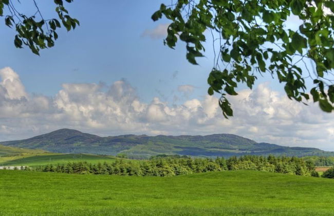 Orroland Lodge - Foto 54