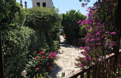 AFISSOS-DREAM 3STUDIOS - Photo 47