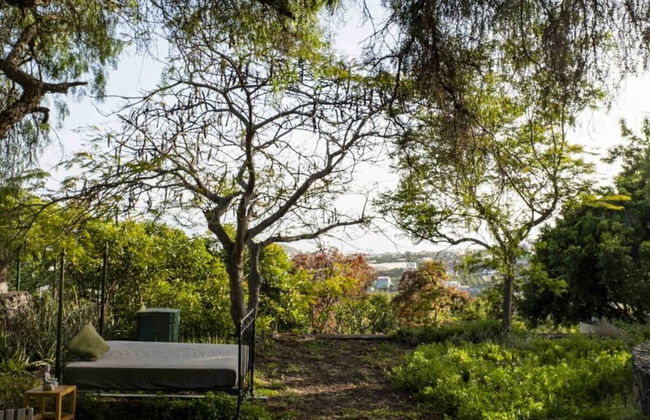 Gran Villa Palmera - Foto 24