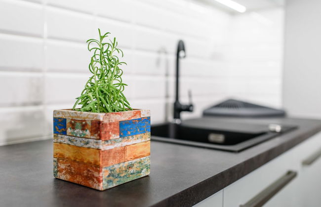 Enklawa Mikołajki - Foto 14