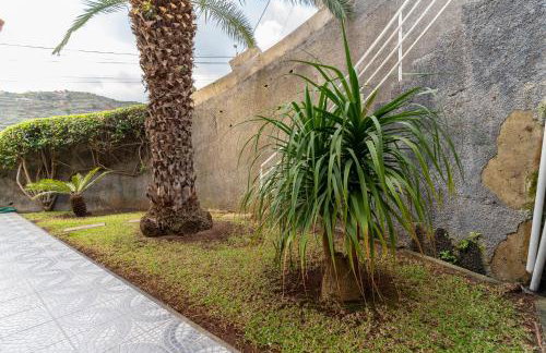 Vanda House com 2 Quartos Vista Mar e montanha no centro da Ilha - Foto 31