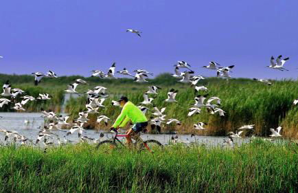 Palazzo Spada - Attico con terrazza vista fiume in centro - Foto 53
