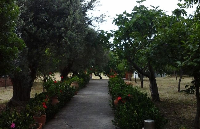Il Giardino sul Mare - Foto 33