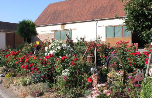 Fewo Feldblick - Photo 2