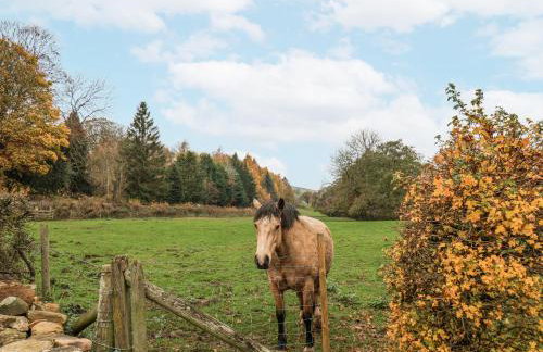 1 The Old Methodist Chapel - Foto 39