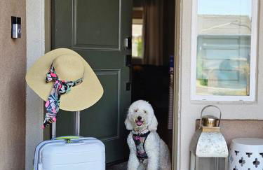 5Br3B Pool, 2mi to Fstvals, EV Chrgr, Gym, Games - Photo 59