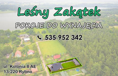 Leśny zakątek - Foto 2