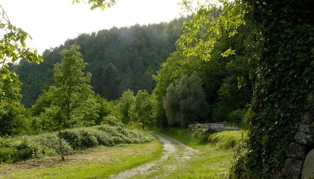 Tour in Castelfranco Piandiscò - Foto 3