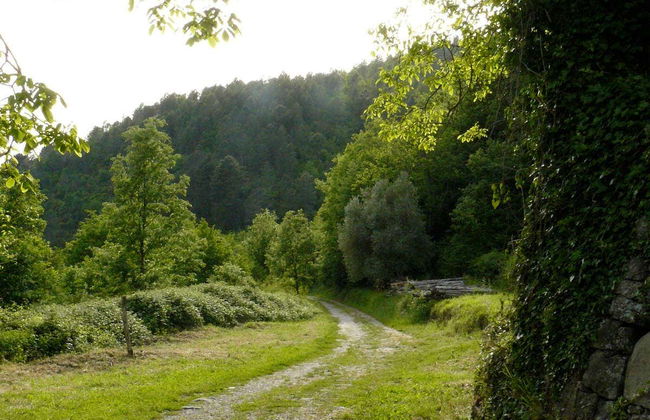 Tour in Castelfranco Piandiscò - Foto 3