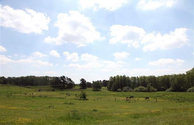 Reihenhaus Rotkehlchen in Lohmen - Foto 24