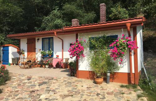 Domek nad Bugiem z Sauną - Foto 19