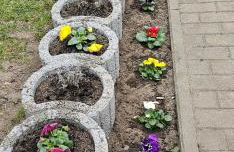 Elkras Elbe - Foto 9