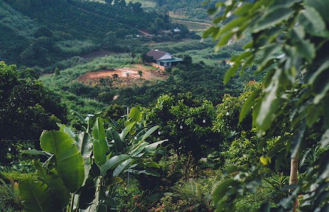 KND View Trieu May - Foto 23