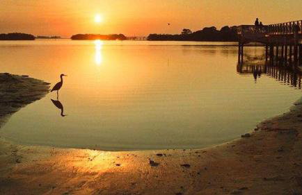 Beaches, Parks, Downtown, Trail, Breweries, Bikes, Gameroom - Foto 41