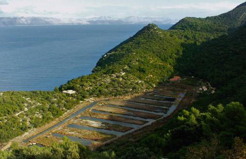 Apartments by the sea Kozarica, Mljet - 4950 - Photo 38