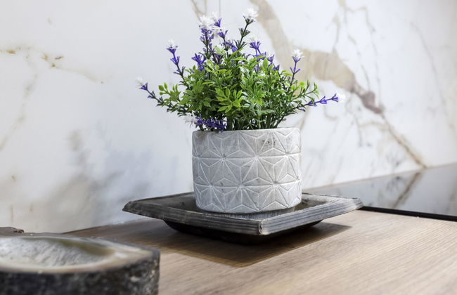 Jean Mermoz - Foto 10