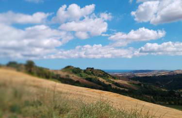 Minicasa nella fattoria - Foto 21