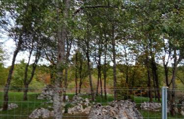 APARTMAN DEDA - Foto 32