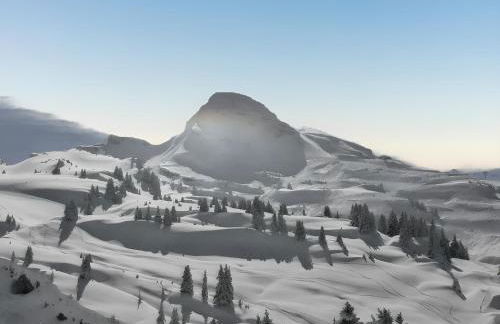 Appartement moderne à Châtel 60 m² avec terrasse privée - Foto 19