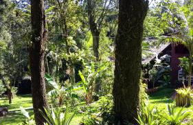 Tiny House II - Sítio dos Wolff - Foto 12