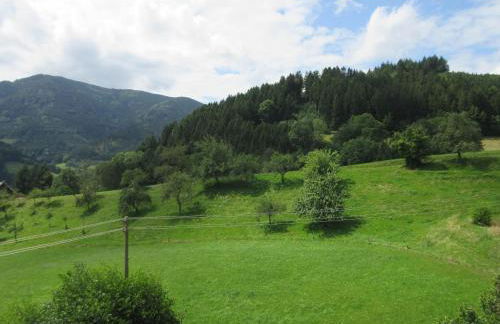 Wehrlemartinshof - Foto 10