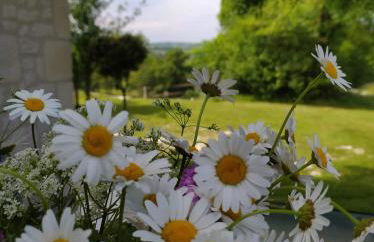 GITE LA ROCHE - Foto 13