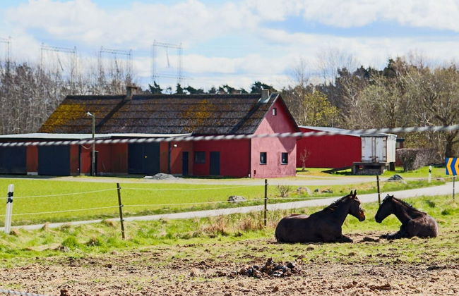 6 Person Holiday Home in Varobacka - Photo 19