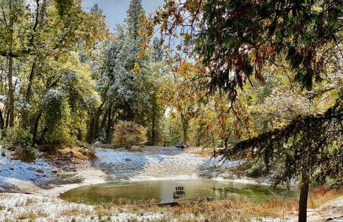 Romantic Forest Lovers Nest by Casa Oso - Foto 18