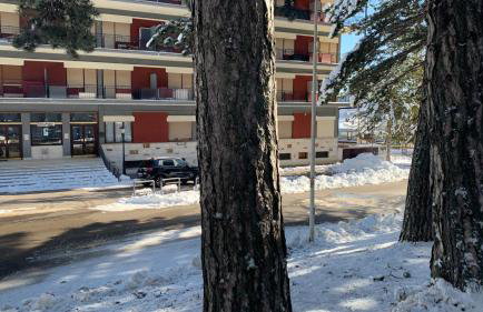 Montaria Suite - Photo 19