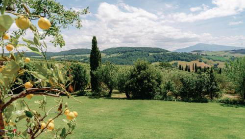 Terre di Nano - Foto 4