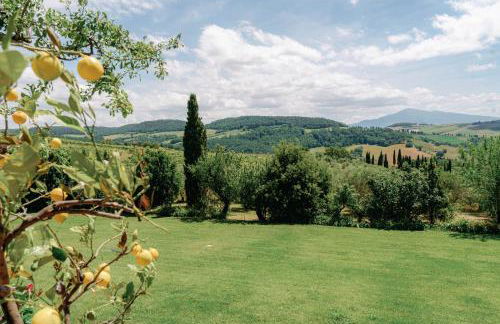 Terre di Nano - Foto 4