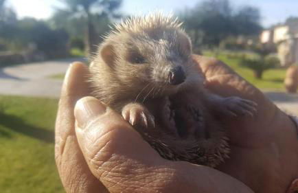 Agriturismo Sa Ruda - Foto 29