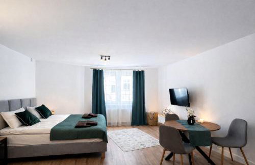 Apartamenty Nad Pilicą - Klimatyzacja - Sulejów - Foto 17