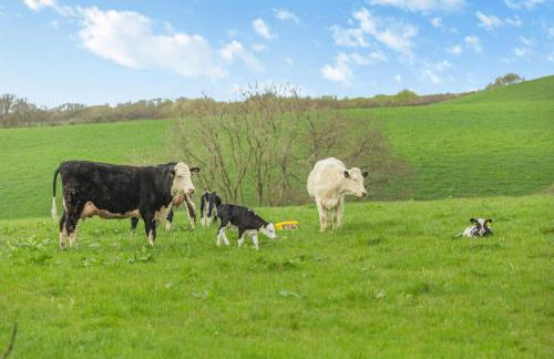 3 Bed in St. Endellion oc-o30761 - Foto 13