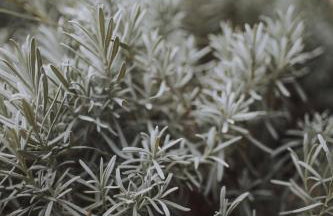 Holiday Home Medimurski Ceker - Foto 46