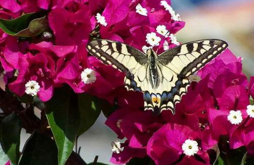 George's Apartments - Foto 32