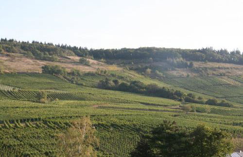 Ferienwohnung Weinbergblick - Foto 28