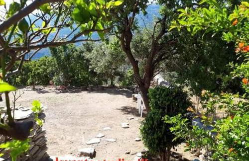 levante studios Αndros - Foto 12