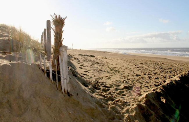 Apartment in Noordwijk Near Beach - Foto 34