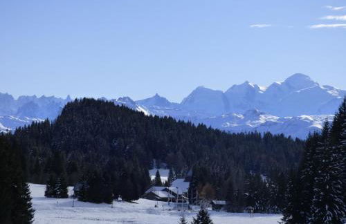 Le Génépi - Foto 24