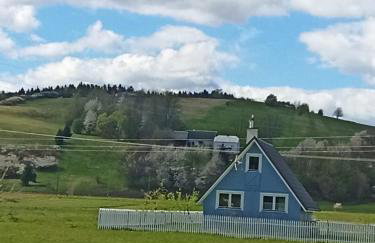 U Ewy pod Brzozami - Foto 9