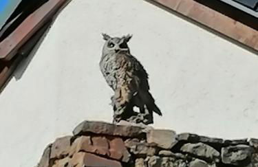 KaalemHof Angelsen - Foto 20