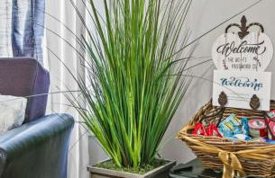 St Paul Fry Street Den Suite#1 - Foto 13