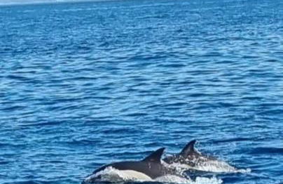 Rosa Apartman - Foto 40